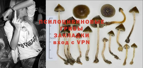 спайс Алексин